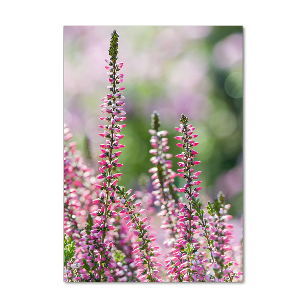 Obraz zdjęcie na scianę pleksi pionowy Wrzos