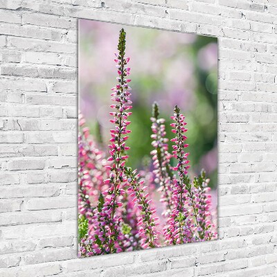 Obraz zdjęcie na scianę pleksi pionowy Wrzos