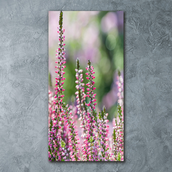 Obraz zdjęcie na scianę pleksi pionowy Wrzos