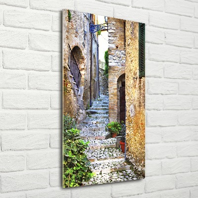 Cuadro de metacrilato moderno efecto cristal vertical calles italianas