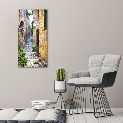 Cuadro de metacrilato moderno efecto cristal vertical calles italianas
