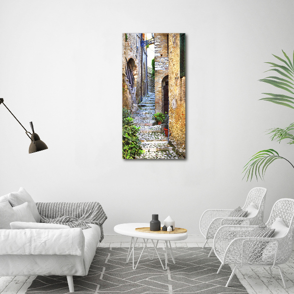 Cuadro de metacrilato moderno efecto cristal vertical calles italianas
