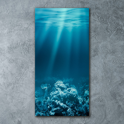 Cuadro decorativo en acrílico brillante vertical Mundo submarino