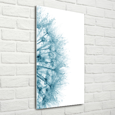 Obraz zdjęcie akryl pionowy Nasiona dmuchawca