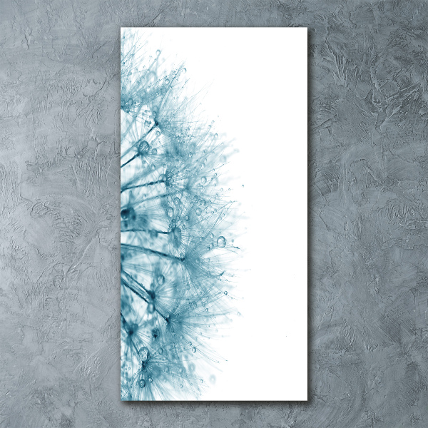 Obraz zdjęcie akryl pionowy Nasiona dmuchawca