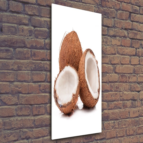 Cuadro de metacrilato moderno efecto cristal vertical Coco