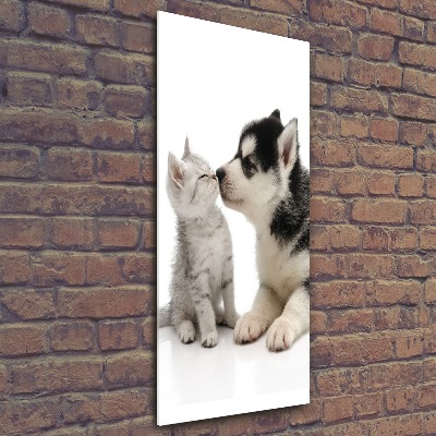 Cuadro decorativo en acrílico brillante vertical Perro y gato