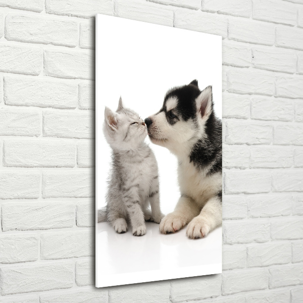 Cuadro decorativo en acrílico brillante vertical Perro y gato
