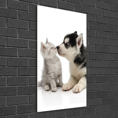 Cuadro decorativo en acrílico brillante vertical Perro y gato