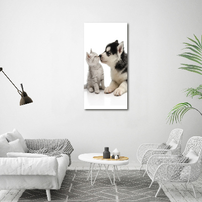 Cuadro decorativo en acrílico brillante vertical Perro y gato