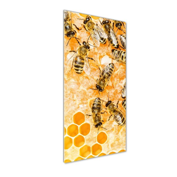 Cuadro de metacrilato moderno efecto cristal vertical Abejas obreras