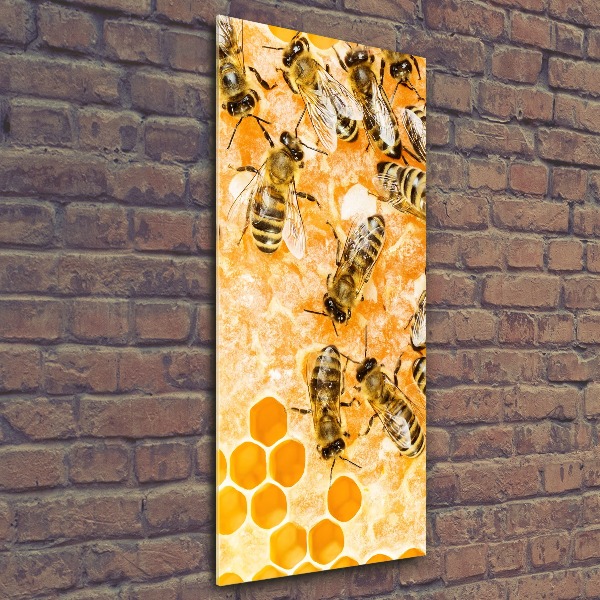 Cuadro de metacrilato moderno efecto cristal vertical Abejas obreras