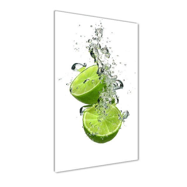 Cuadro de metacrilato moderno efecto cristal vertical Limas