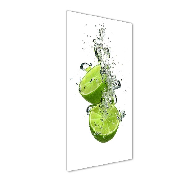 Cuadro de metacrilato moderno efecto cristal vertical Limas