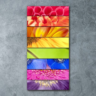 Impresión en metacrilato de alta calidad vertical flores de colores