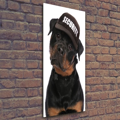 Cuadro de metacrilato vertical Rottweiler con gorra