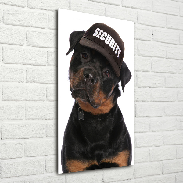 Cuadro de metacrilato vertical Rottweiler con gorra