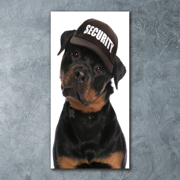 Cuadro de metacrilato vertical Rottweiler con gorra
