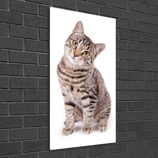 Cuadro de metacrilato moderno efecto cristal vertical Gato