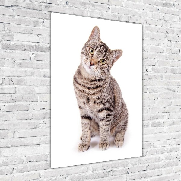 Cuadro de metacrilato moderno efecto cristal vertical Gato