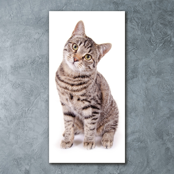 Cuadro de metacrilato moderno efecto cristal vertical Gato