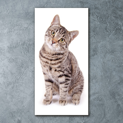 Cuadro de metacrilato moderno efecto cristal vertical Gato