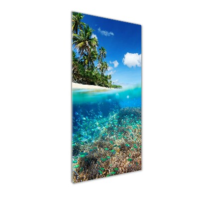 Cuadro de metacrilato moderno efecto cristal vertical Arrecife de coral