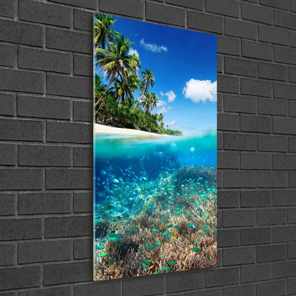 Cuadro de metacrilato moderno efecto cristal vertical Arrecife de coral