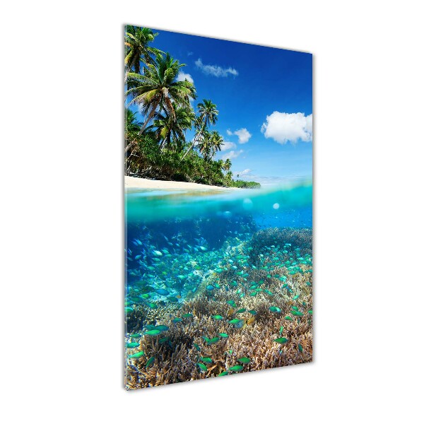 Cuadro de metacrilato moderno efecto cristal vertical Arrecife de coral