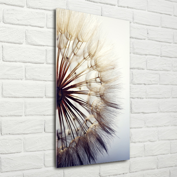 Cuadro decorativo en acrílico brillante vertical Diente de león