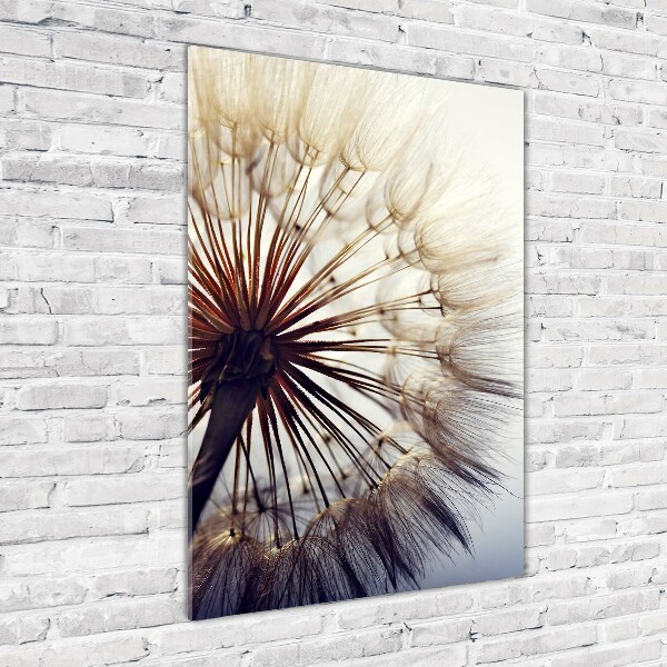 Cuadro decorativo en acrílico brillante vertical Diente de león