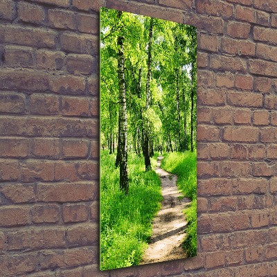 Cuadro decorativo en acrílico brillante vertical bosque de abedules