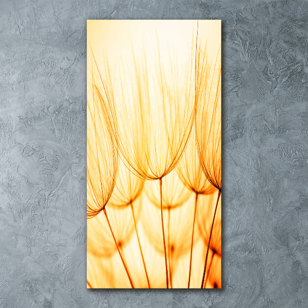 Obraz zdjęcie na ścianę akryl pionowy Nasiona dmuchawca