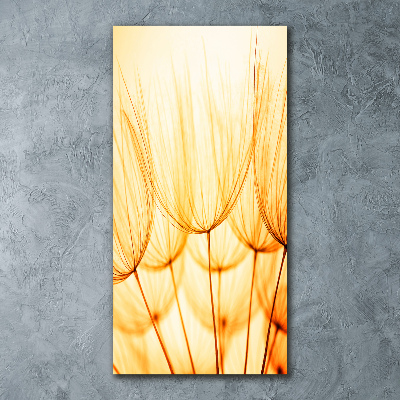 Cuadro de metacrilato vertical semillas de diente de león