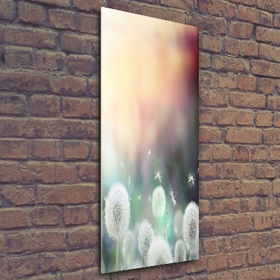 Cuadro de metacrilato moderno efecto cristal vertical Dientes de león