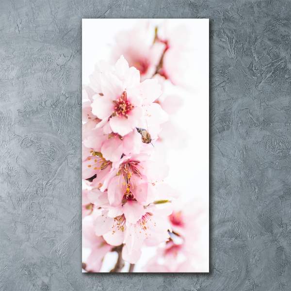 Cuadro decorativo en acrílico brillante vertical flores de almendro