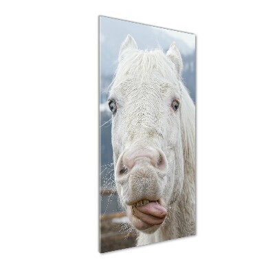 Cuadro decorativo en acrílico brillante vertical Caballo blanco loco