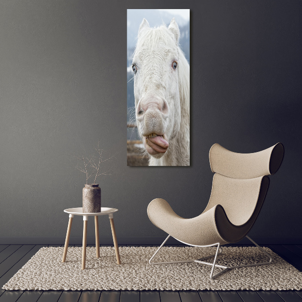 Cuadro decorativo en acrílico brillante vertical Caballo blanco loco