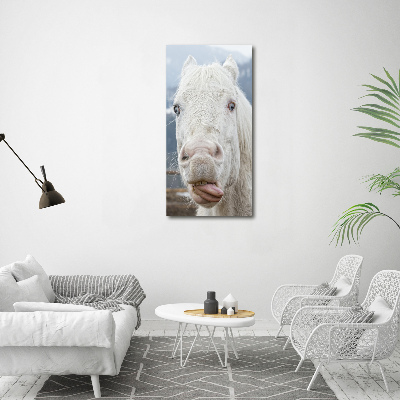 Cuadro decorativo en acrílico brillante vertical Caballo blanco loco