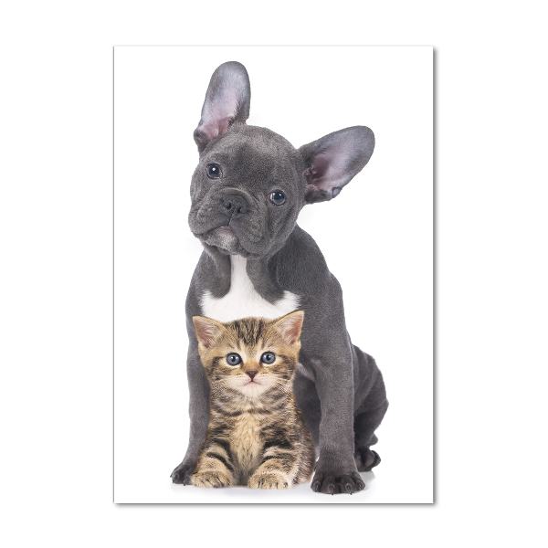 Cuadro de metacrilato vertical Perro y gato