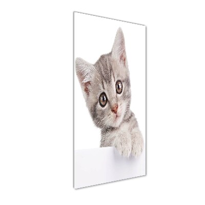Cuadro de metacrilato moderno efecto cristal vertical gato gris