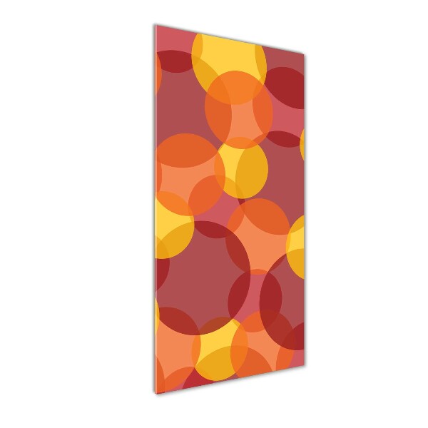 Cuadro decorativo en acrílico brillante vertical Círculos de colores