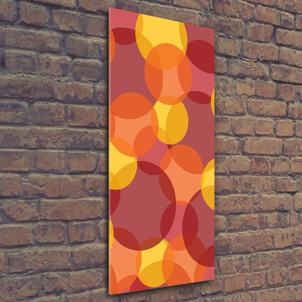 Cuadro decorativo en acrílico brillante vertical Círculos de colores