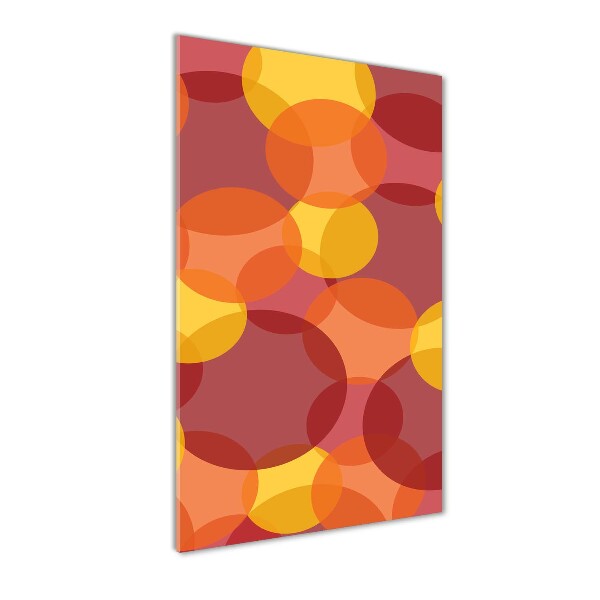 Cuadro decorativo en acrílico brillante vertical Círculos de colores