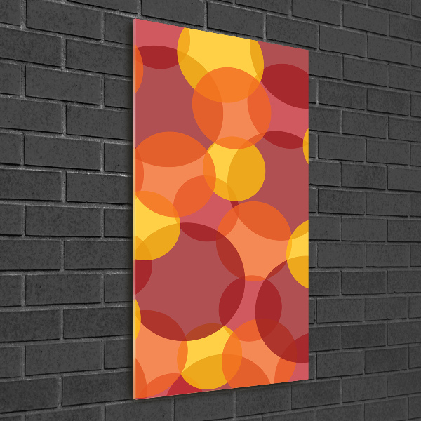 Cuadro decorativo en acrílico brillante vertical Círculos de colores