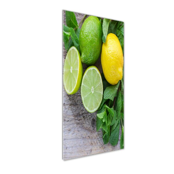 Cuadro de metacrilato vertical Limas y limones