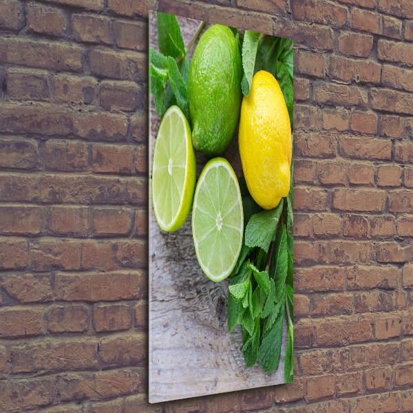Cuadro de metacrilato vertical Limas y limones
