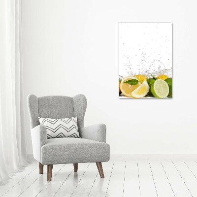 Cuadro de metacrilato vertical Frutas cítricas