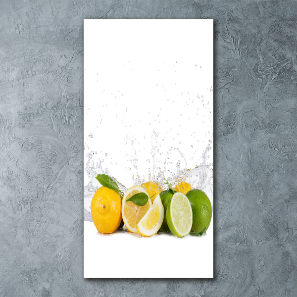 Cuadro de metacrilato vertical Frutas cítricas
