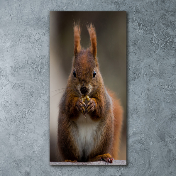 Cuadro de metacrilato moderno efecto cristal vertical Ardilla